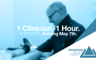 1 Clinician 1 Hour No Hand Offs